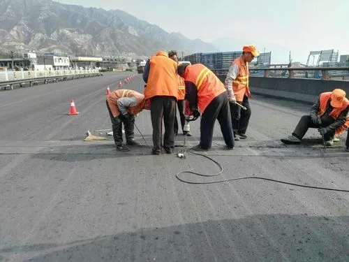 东平道路桥梁病害治理